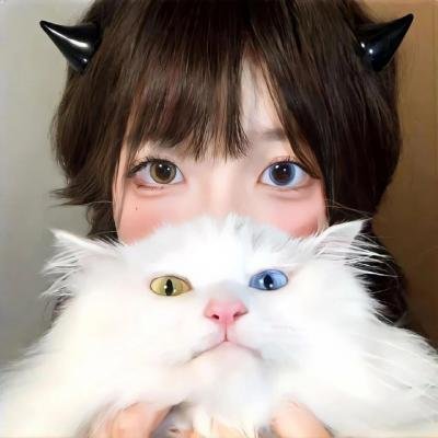 诉讼